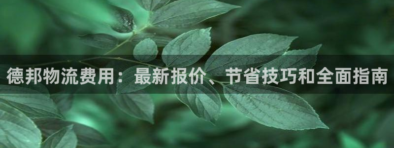 28圈能赢钱吗：德邦物流费用：最新报