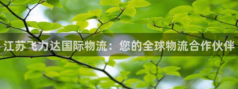 28圈登陆网：江苏飞力达国际物流：您