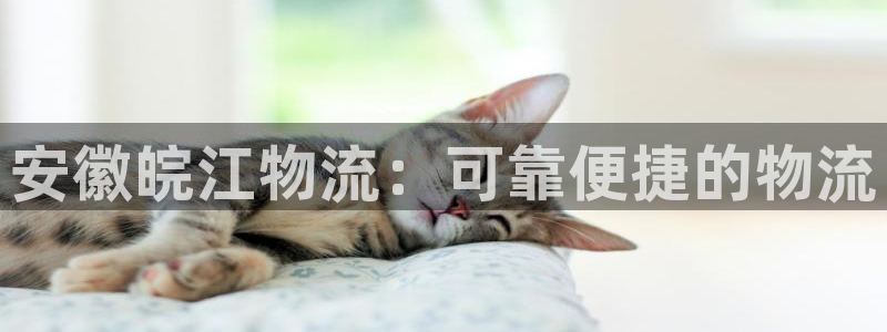 28圈pg麻将胡了：安徽皖江物流：可