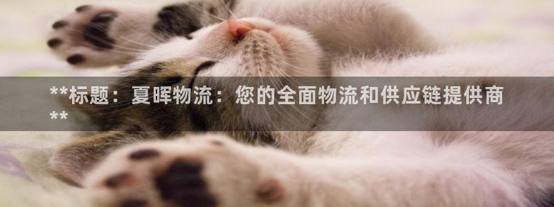 28圈加拿大技巧：**标题：夏晖物流