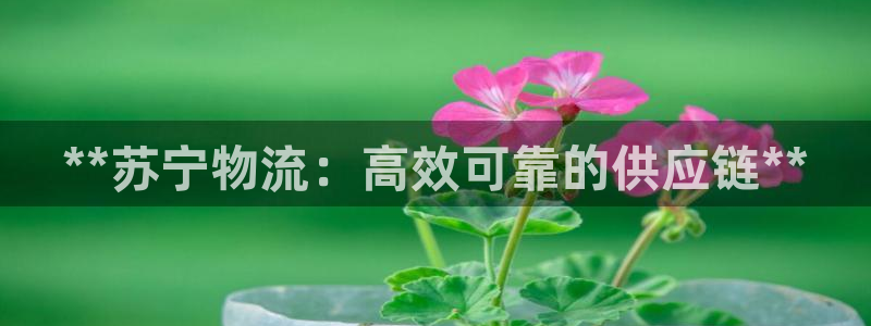 28圈模拟：**苏宁物流：高效可靠的