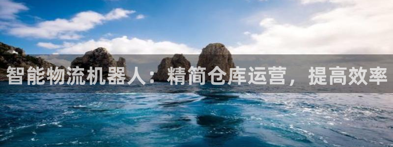 28圈登陆网：智能物流机器人：精简仓