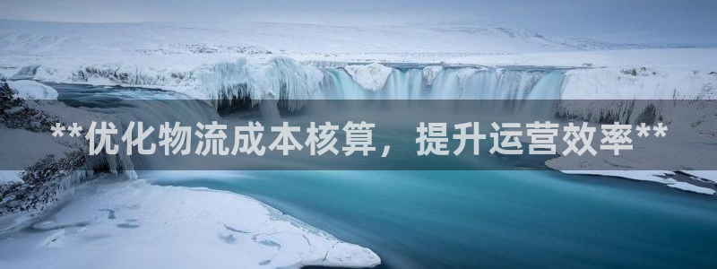 28圈反水：**优化物流成本核算，提