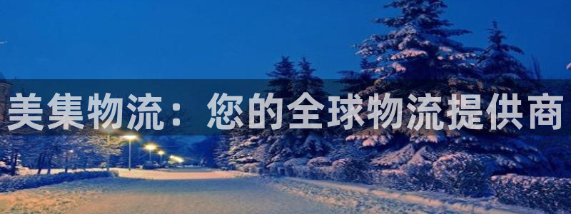 28圈登陆网：美集物流：您的全球物流