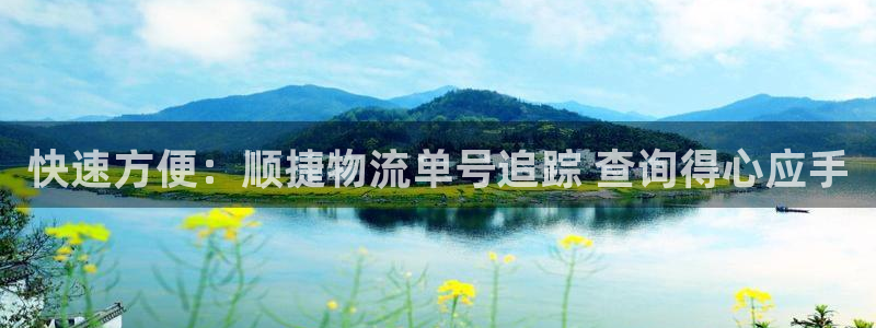 28圈注册号：快速方便：顺捷物流单号