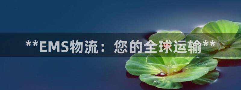 28圈官网平台
