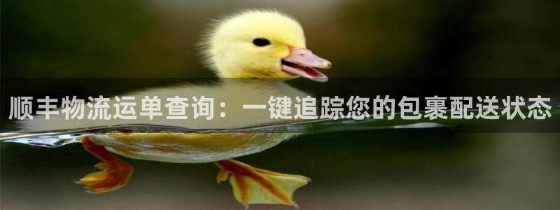28圈官网预测：顺丰物流运单查询：一