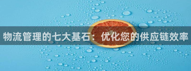 28圈新用户怎么注册：物流管理的七大