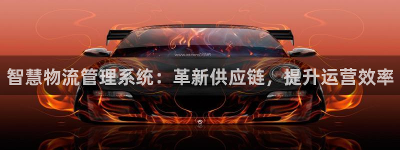 28圈加拿大技巧：智慧物流管理系统：