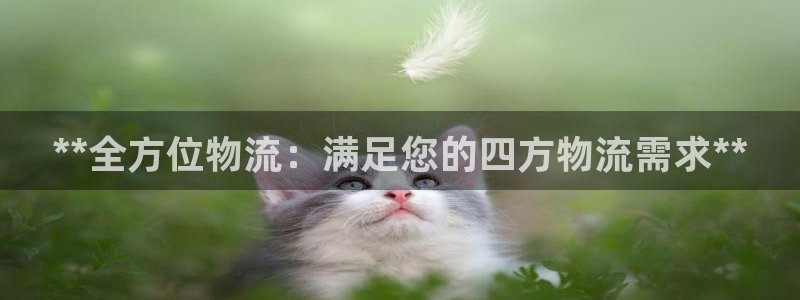 28圈怎么注册账号：**全方位物流：
