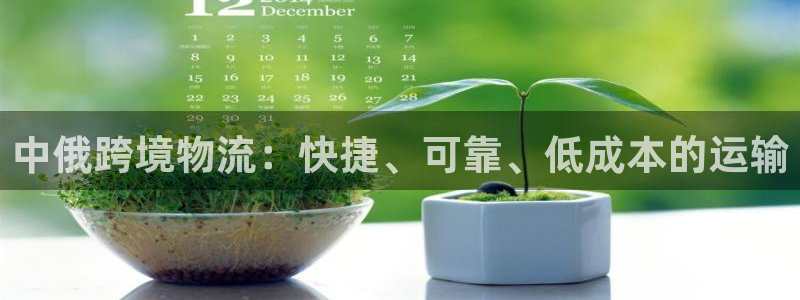 28圈官方版网站：中俄跨境物流：快捷