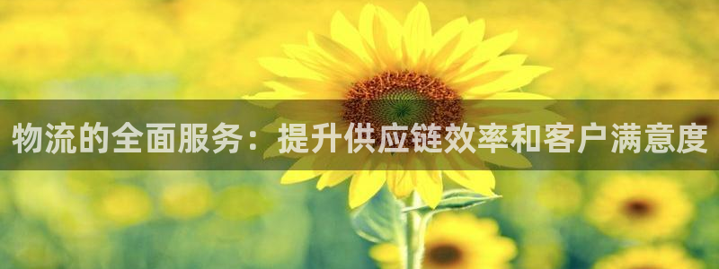 28圈自行车图片大全