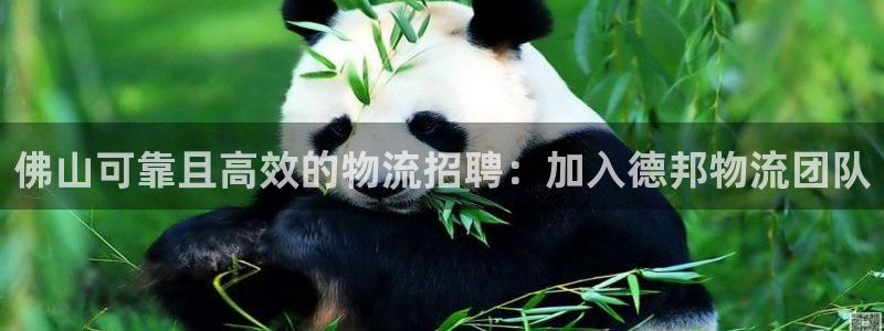 28圈h5链接：佛山可靠且高效的物流