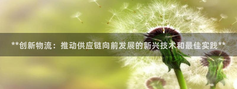 28圈网赌案件