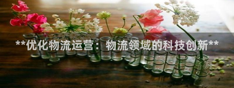 28圈取保：**优化物流运营：物流领
