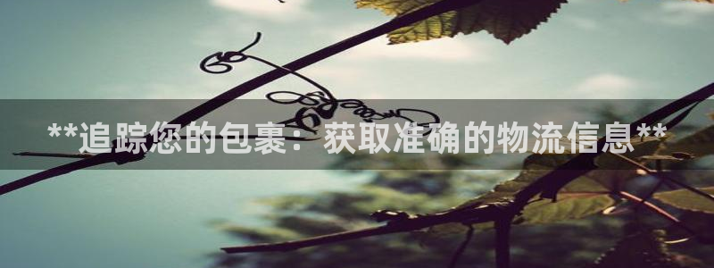 28圈官方版网站：**追踪您的包裹：