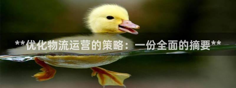 28圈注册上限是啥意思：**优化物流