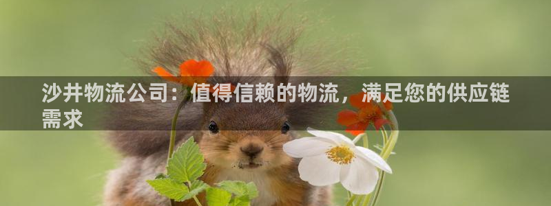 28圈.ccmpc29官网版下载