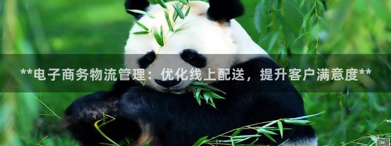 28圈app官网少林足球