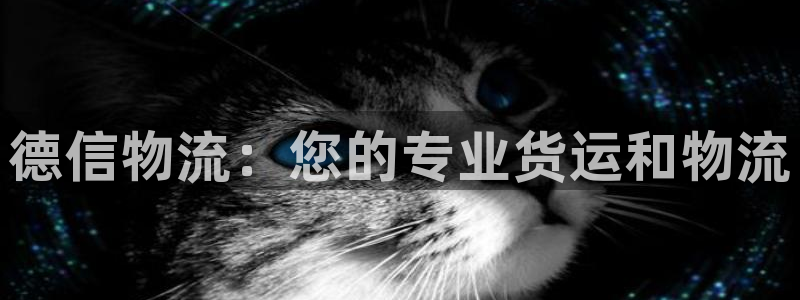 28圈官网开奖结果预测：德信物流：您