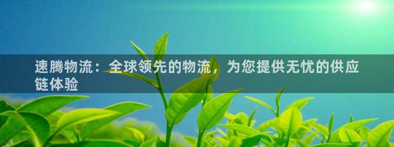 28圈返水怎么算的