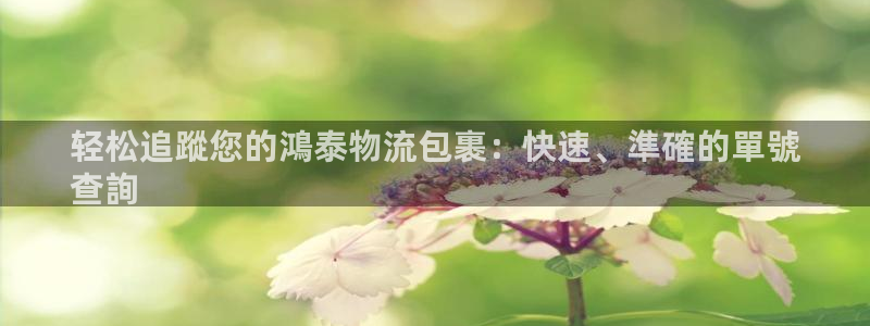 28圈可靠吗：轻松追蹤您的鴻泰物流包