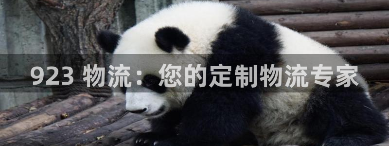 28圈加拿大是什么