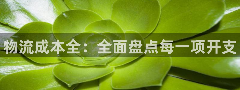 28圈登录网：物流成本全：全面盘点每