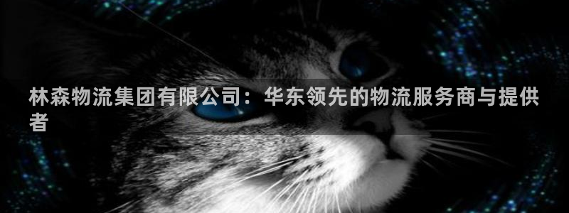 28圈加拿大2.8预测在线预测