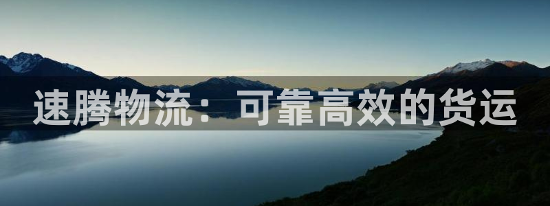 28圈注册教程：速腾物流：可靠高效的