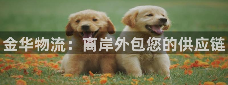 28圈取保