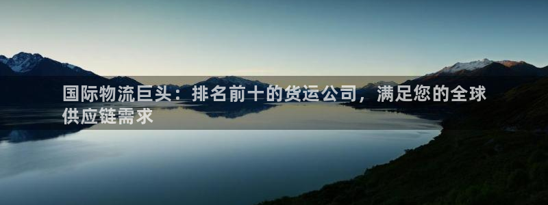 28圈注册教程：国际物流巨头：排名前