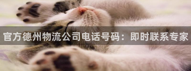 28圈注册步骤：官方德州物流公司电话