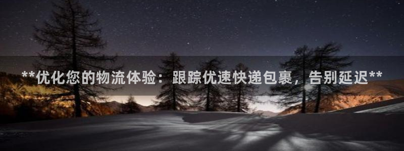 28圈在线预测官网：**优化您的物流