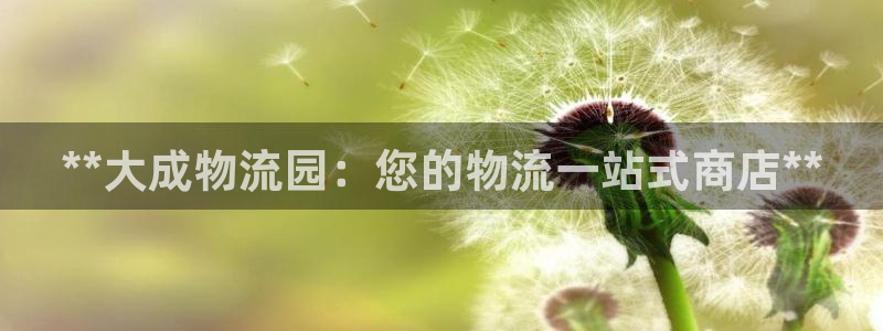 28圈初始资金密码在哪里改