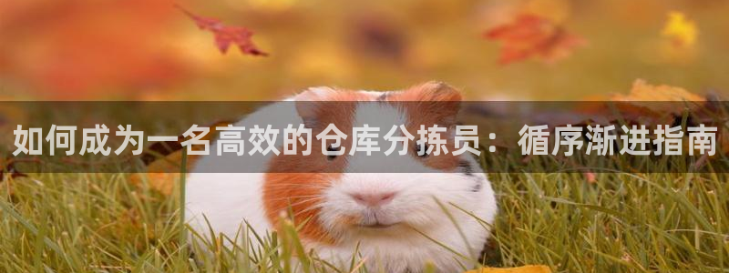 28圈注册账号：如何成为一名高效的仓
