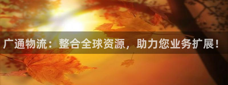 28圈注册网址百度知道