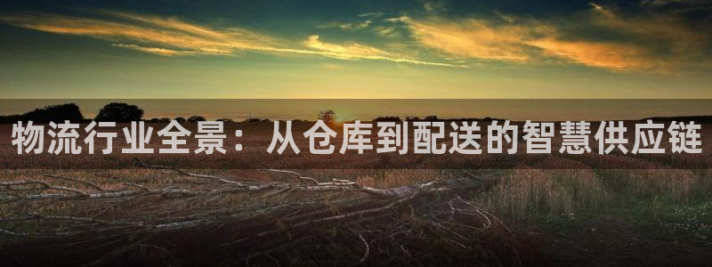 28圈口内径是多大