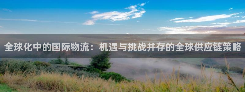 28圈是正规软件吗