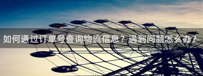 28圈电子游戏：如何通过订单号查询物