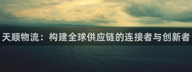 28圈游戏：天顺物流：构建全球供应链