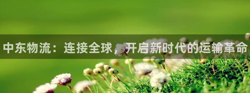 28圈下分了不给钱：中东物流：连接全