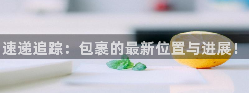 28圈代理落网：速递追踪：包裹的最新位置与进展！
