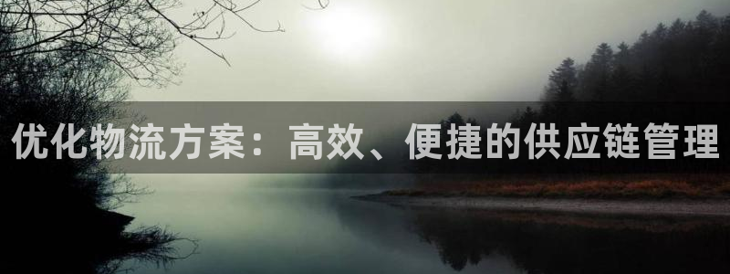 28圈加拿大官网：优化物流方案：高效、便捷的供应链管理
