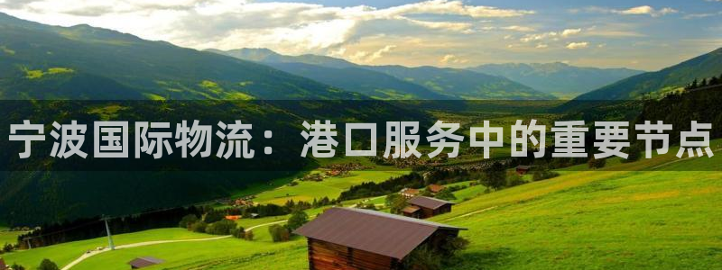 28圈登录网：宁波国际物流：港口服务中的重要节点