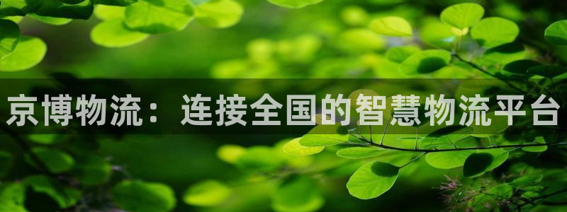 28圈在线预测官网