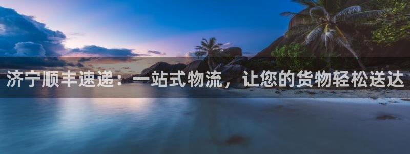 28圈反水:济宁顺丰速递:一站式物流