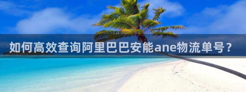 28圈充值不到账：如何高效查询阿里巴