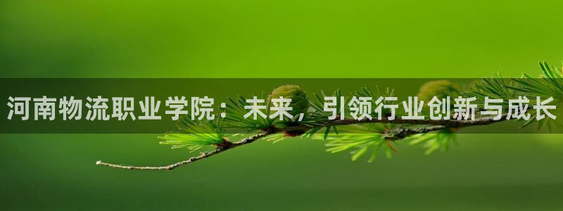 28圈怎么注册下载：河南物流职业学院