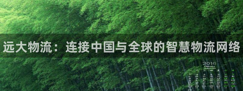28圈忘记账号：远大物流：连接中国与全球的智慧物流网络
